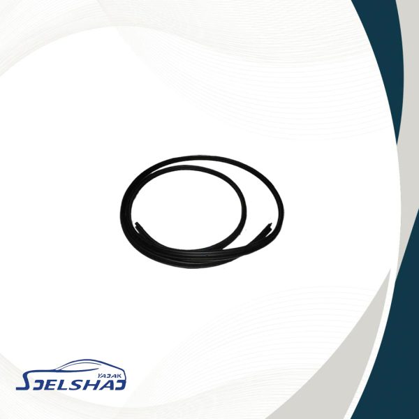 نوار دور درب عقب چپ (دو رنگ)315