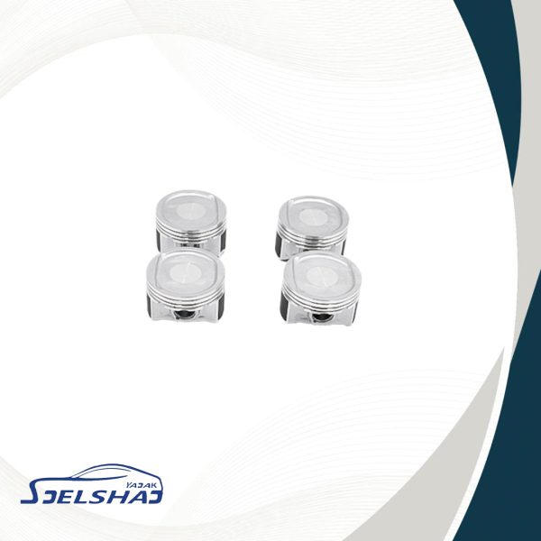 پيستون 315 سايز 25